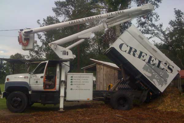 Cherry Picker