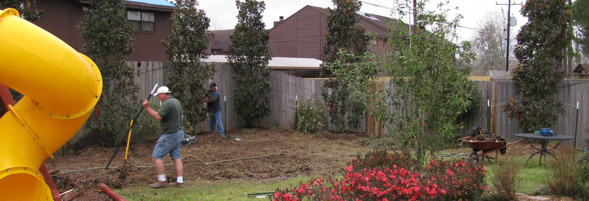 Planting Trees In Backyard