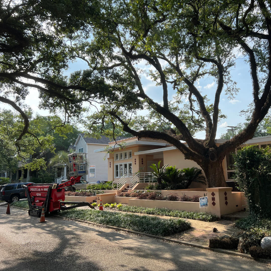 tree trimming, tree maintenance, tree service, baton rouge tree service, Louisiana tree service, tree cutting, tree limb removal, tree removal, stump grinding